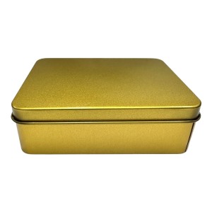 LATA RETANGULAR DOURADA C/6